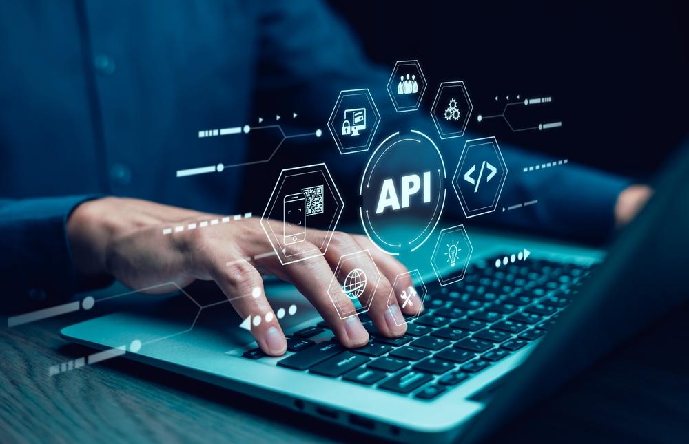 eInvoice API provider